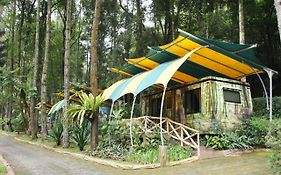 Safari Resort